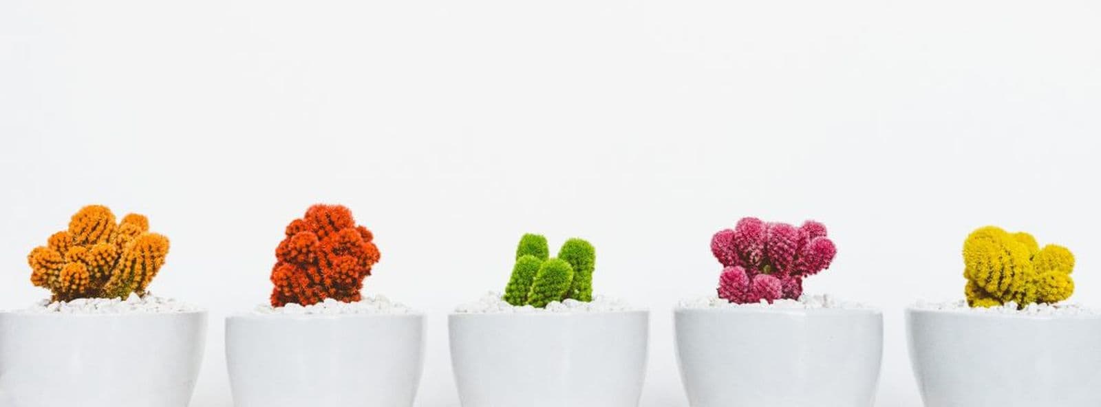The challenge of cultural differences in UX/UI design