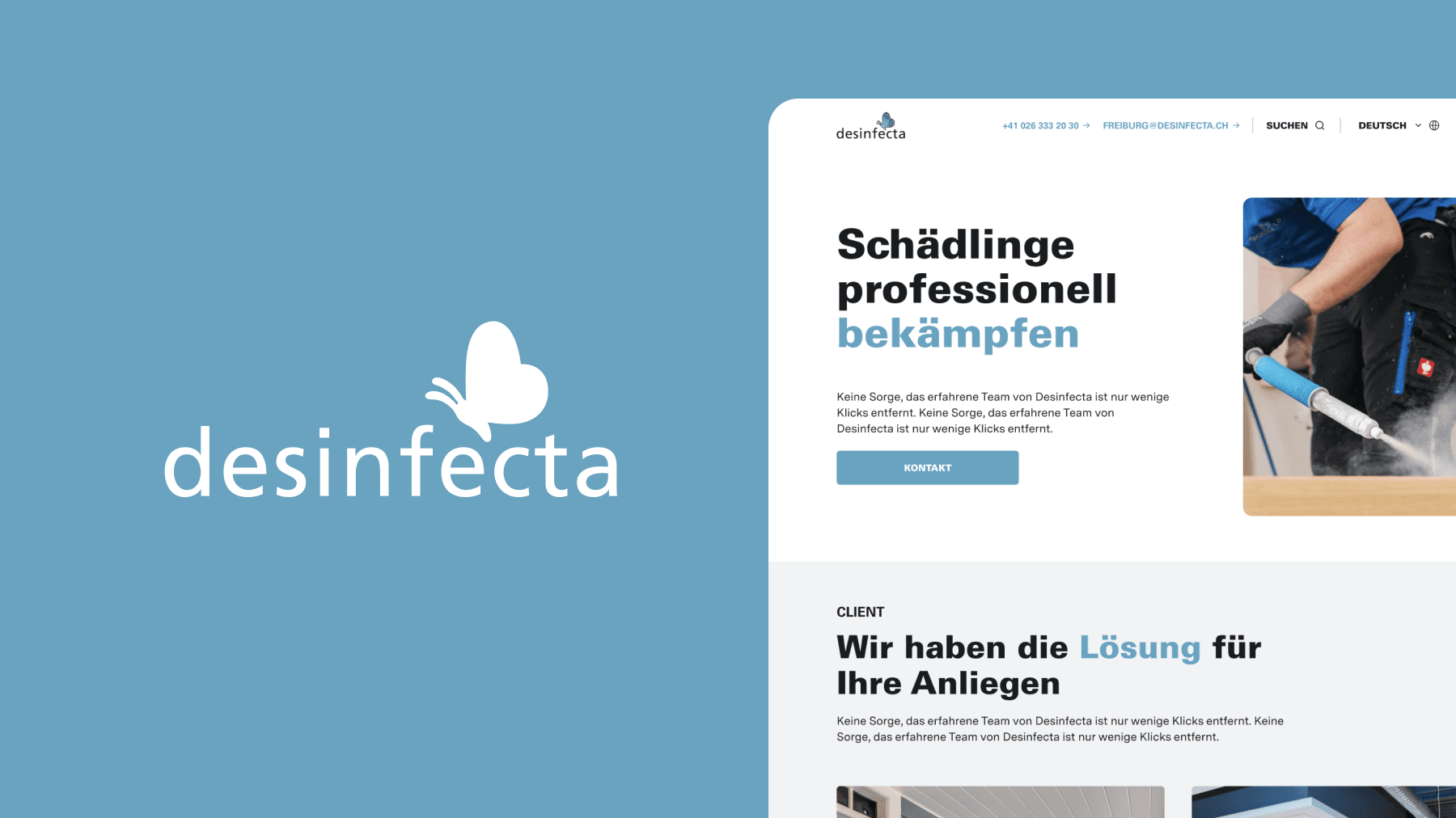 Effiziente Weblösung für Desinfecta: Keine Spur von Bugs